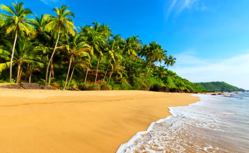 Arrival in Paradise